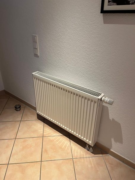 Diele vorher
